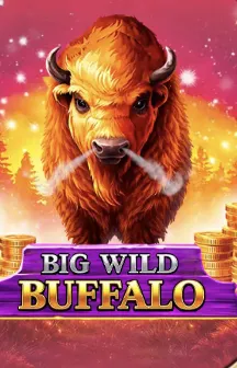 big wild buffalo